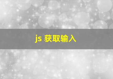 js 获取输入